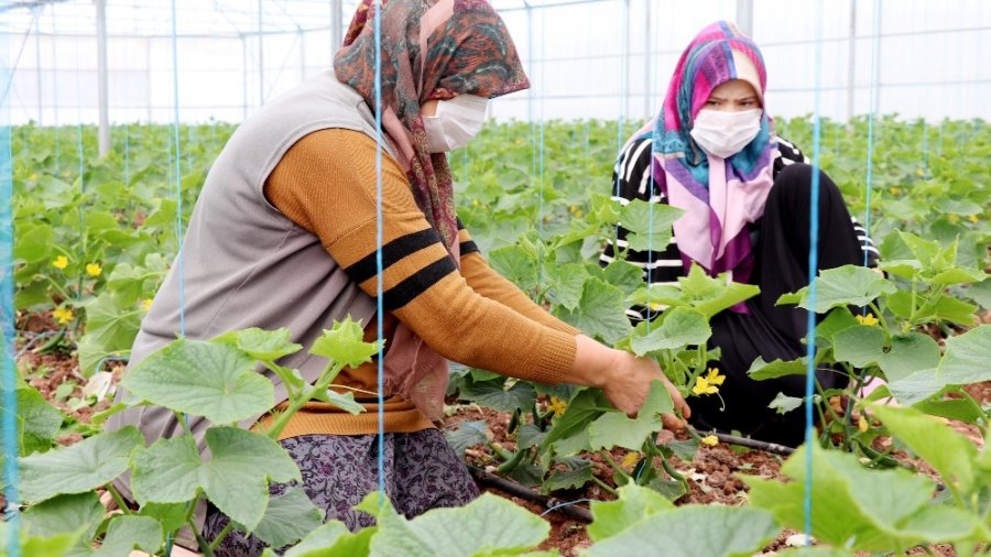 Devlet Desteğiyle Üretim Sürüyor, Ülke Kazanıyor