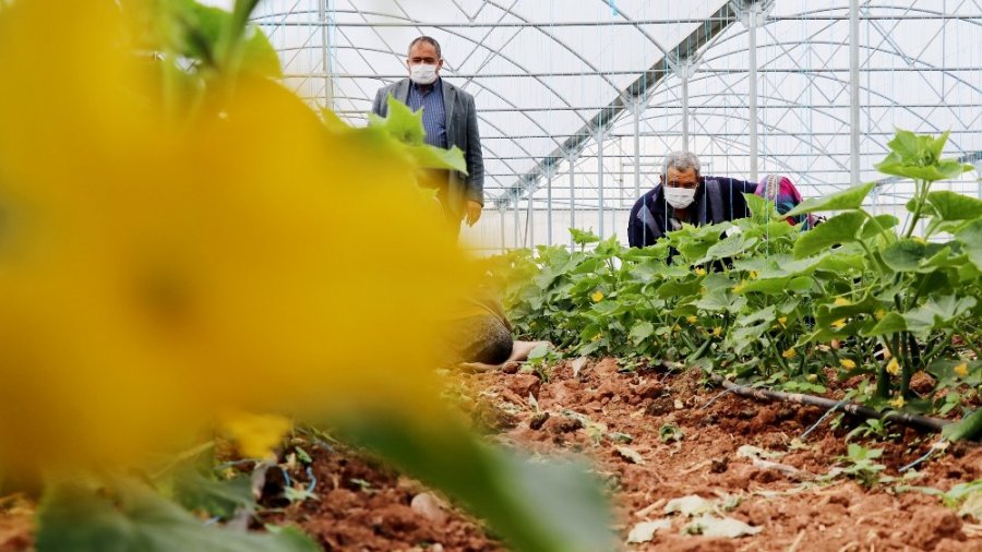 Devlet Desteğiyle Üretim Sürüyor, Ülke Kazanıyor