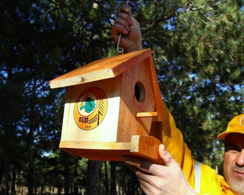 Eskişehir'de Kuşlar İçin Yuvalar Asıldı