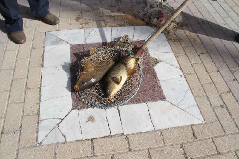 Konya'da Mahsur Kalan Balıklar Göl Suyuna Kavuştu