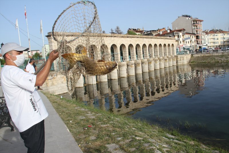 Konya'da Mahsur Kalan Balıklar Göl Suyuna Kavuştu