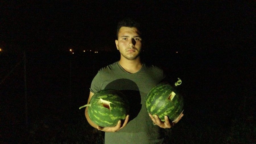Antalya'da Karpuz Tarlasından Seçmece Hırsızlık