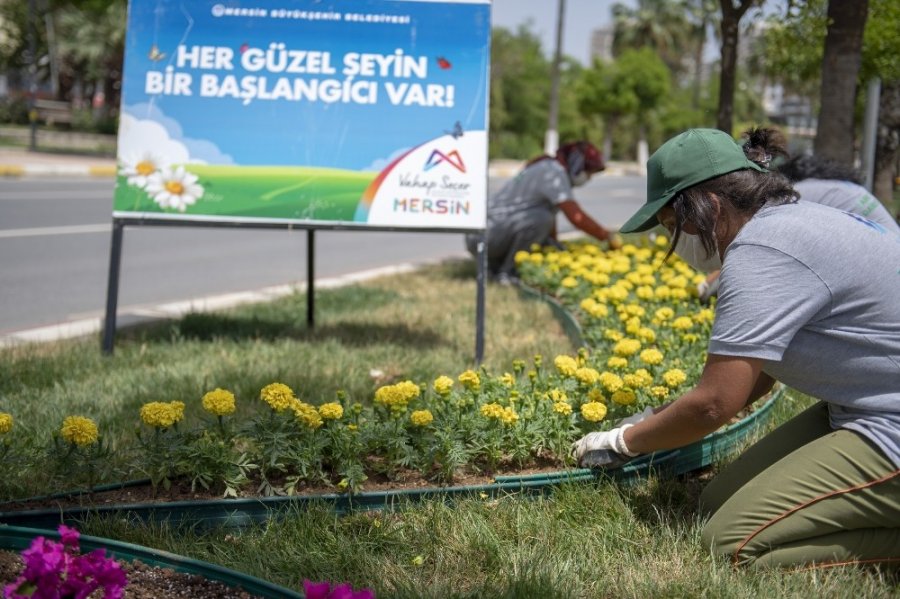 Mersin'de Çiçekler Açıyor