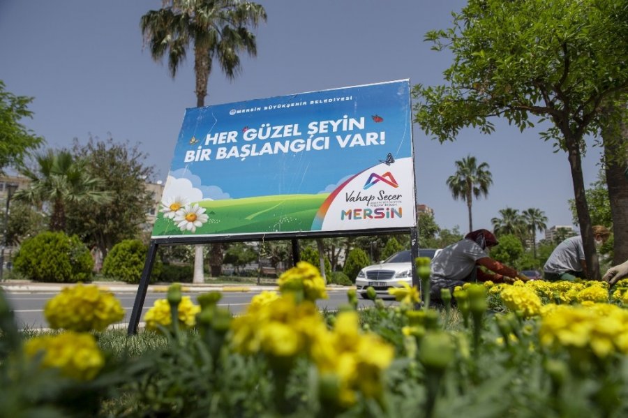 Mersin'de Çiçekler Açıyor
