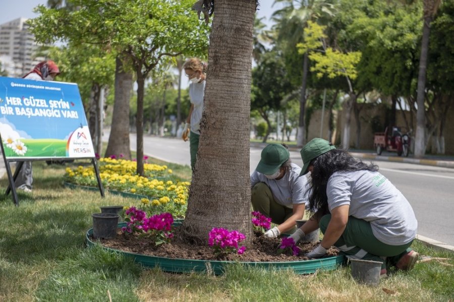 Mersin'de Çiçekler Açıyor