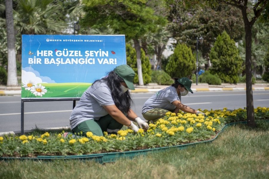 Mersin'de Çiçekler Açıyor