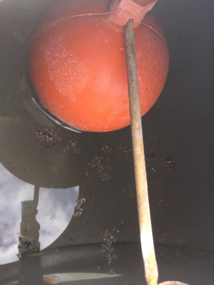 Musluk Filtresi Sinek Yuvası Olmuş