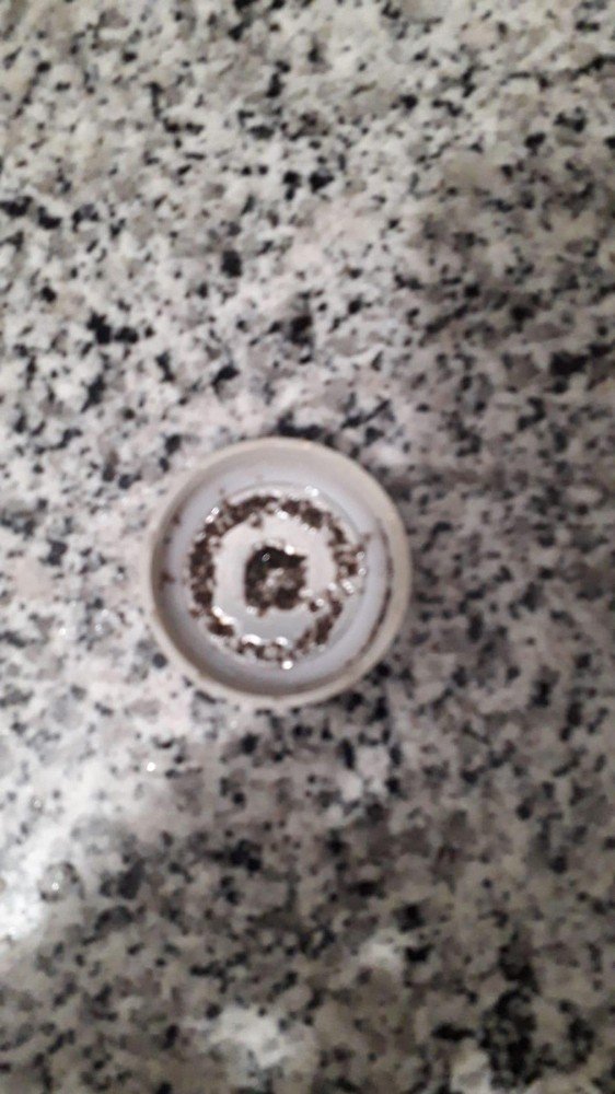 Musluk Filtresi Sinek Yuvası Olmuş