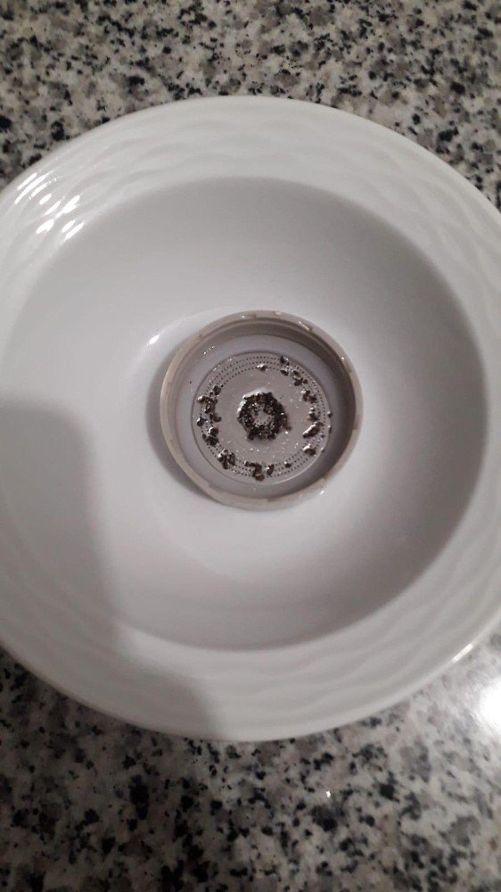 Musluk Filtresi Sinek Yuvası Olmuş