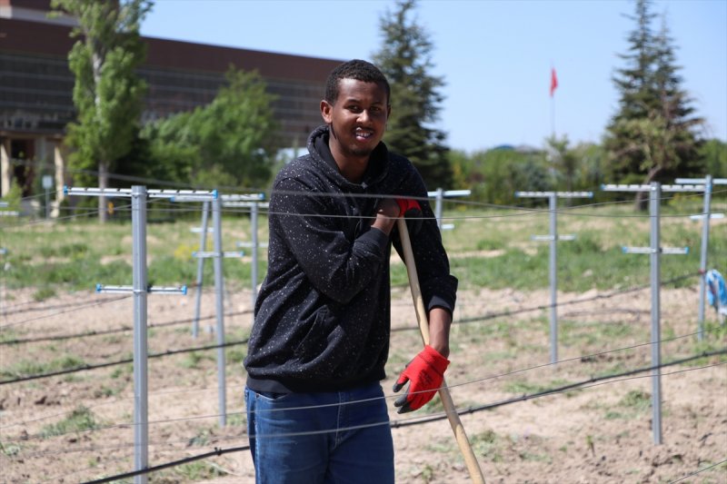 Yabancı Öğrenciler İçin Üniversiteden Çalışma İmkanı