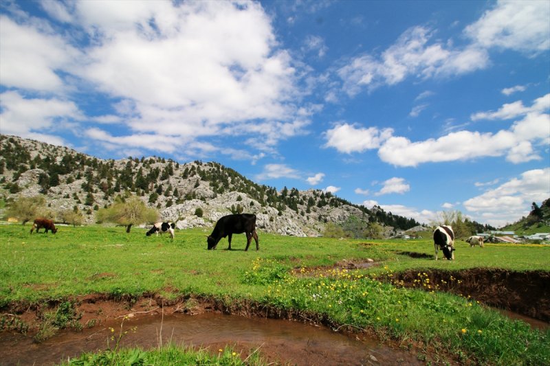 Baharın Gelişiyle Çiçeklenen Yaylalarda Salgın Sessizliği