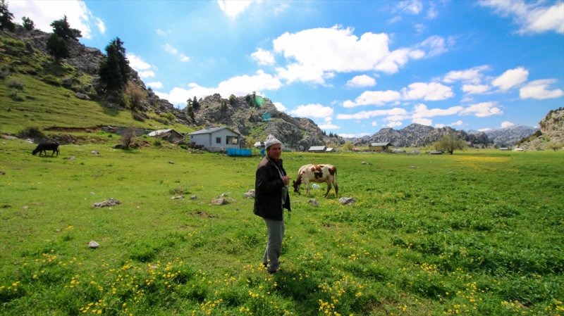 Baharın Gelişiyle Çiçeklenen Yaylalarda Salgın Sessizliği