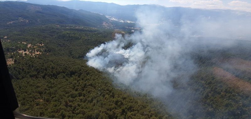 Antalya'da Çıkan Orman Yangınında 8 Hektar Alan Zarar Gördü