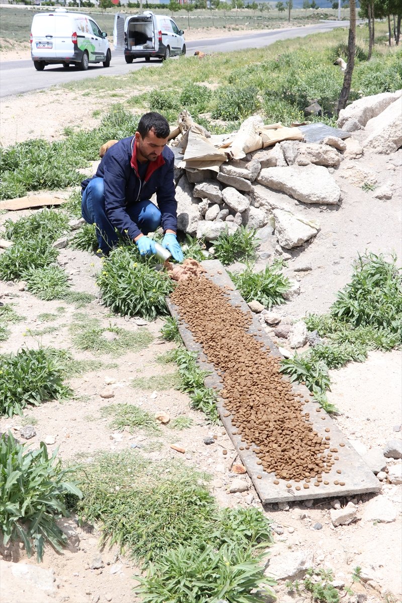 Niğde'de Sokak Hayvanlarına Mama Desteği
