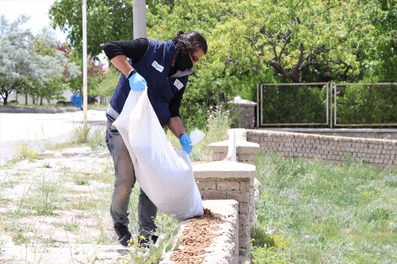 Niğde'de Sokak Hayvanlarına Mama Desteği