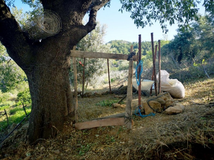 Koyunları Bulunan Vatandaş Çifte Bayram Yaşadı