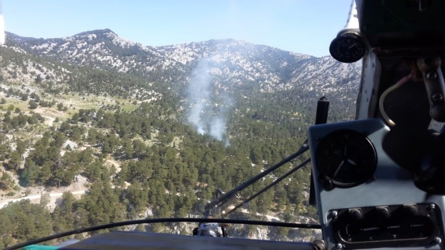 Çobanların İhmali Ormana Zarar Verdi