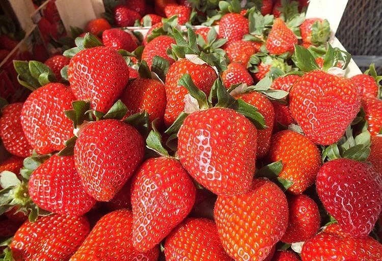 Çilek Üretiminde Karaman'ın İddiası Aromada