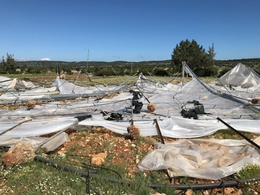 Erdemlili Üretici Bu Sene Çok Zarar Gördü