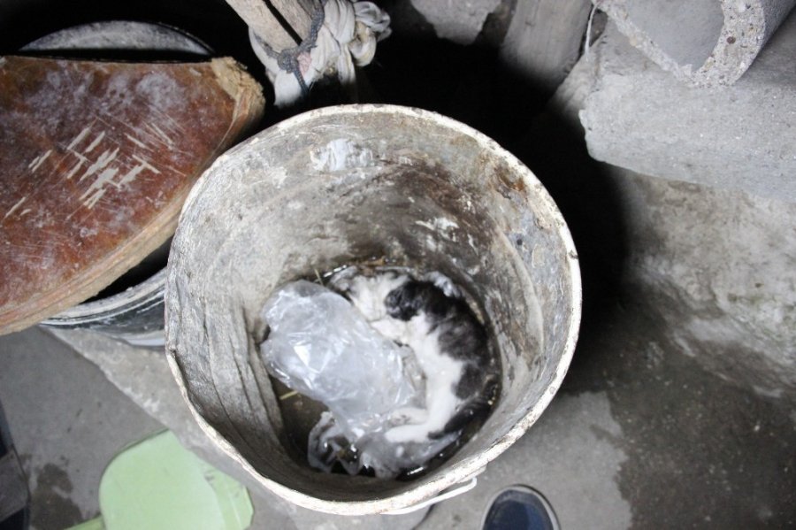 Karaman’da Tek Katlı Müstakil Evde Korkutan Yangın: 1 Yavru Kedi Telef Oldu
