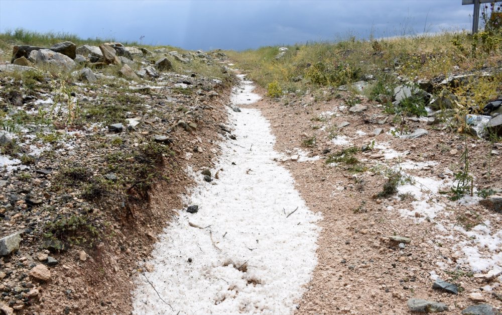 Aksaray'da Etkili Olan Dolu, Ekili Alanlara Zarar Verdi
