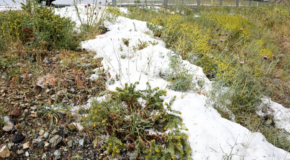 Aksaray'da Etkili Olan Dolu, Ekili Alanlara Zarar Verdi
