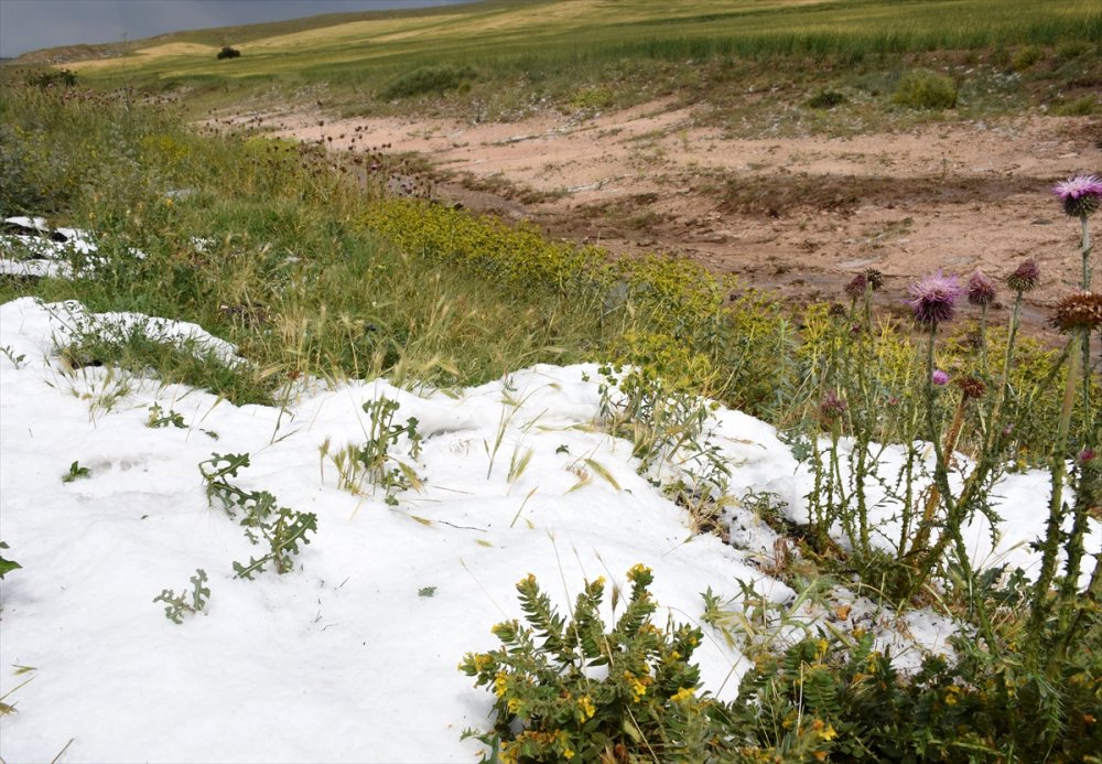 Aksaray'da Etkili Olan Dolu, Ekili Alanlara Zarar Verdi