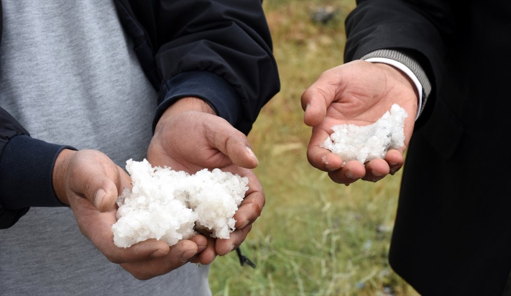 Aksaray'da Etkili Olan Dolu, Ekili Alanlara Zarar Verdi