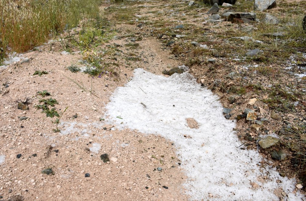 Aksaray'da Etkili Olan Dolu, Ekili Alanlara Zarar Verdi