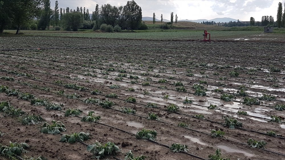 Niğde'de Etkili Olan Dolu Tarım Arazilerine Zarar Verdi