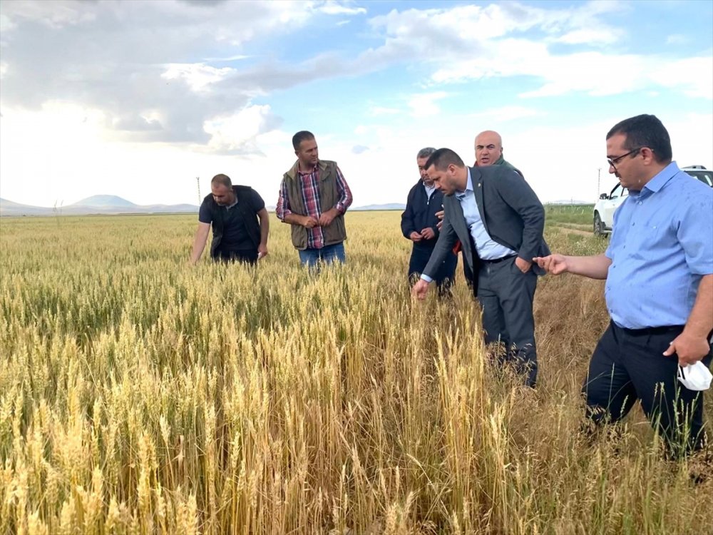 Vekil Eser Sudurağı, Beydilli ve Ekinözü'nü Ziyaret Etti