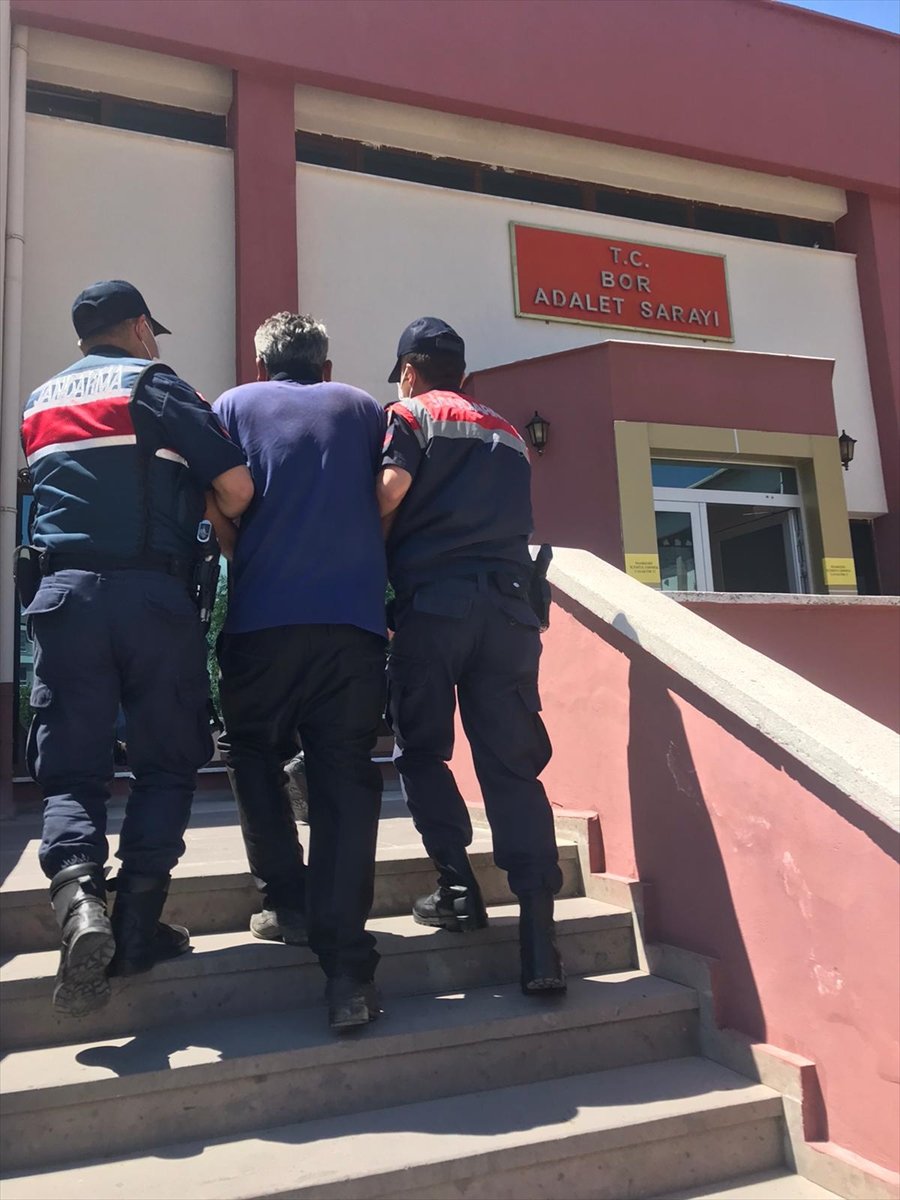 Niğde'de 150 kök Hint keneviri ele geçirildi