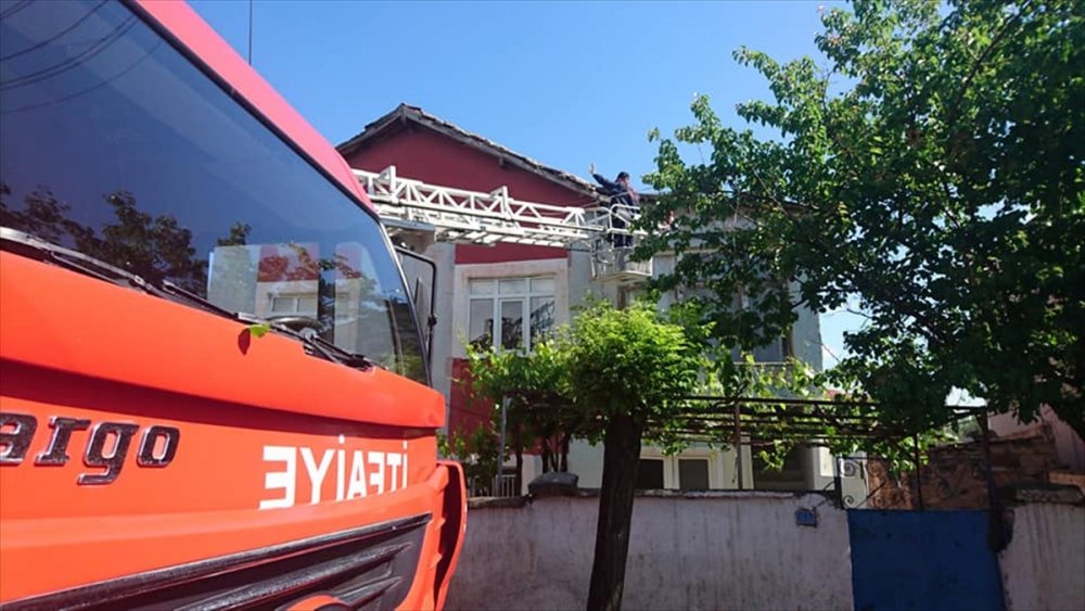 Çatı Arasına Sıkışan Güvercini İtfaiye Ekipleri Kurtardı