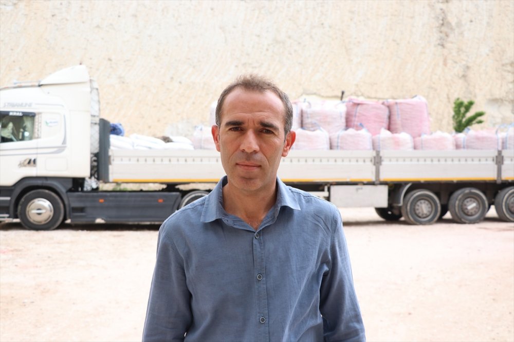 Yerli Patates Tohumu 