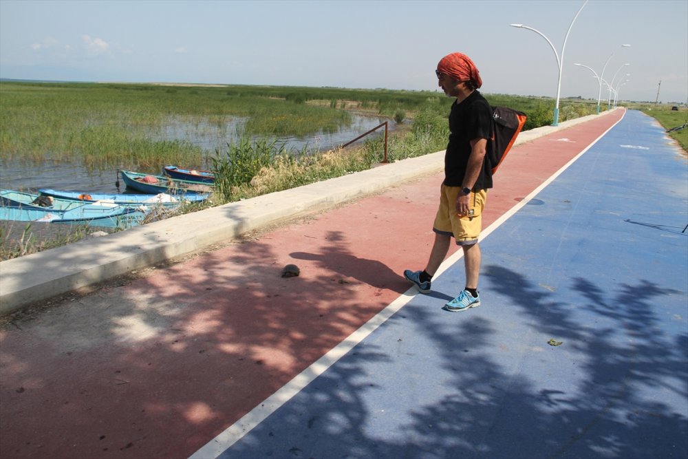 Doğal Hayata "Beton Set" Engeli