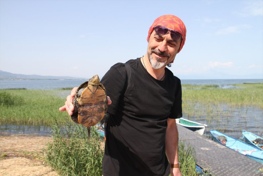 Doğal Hayata "Beton Set" Engeli