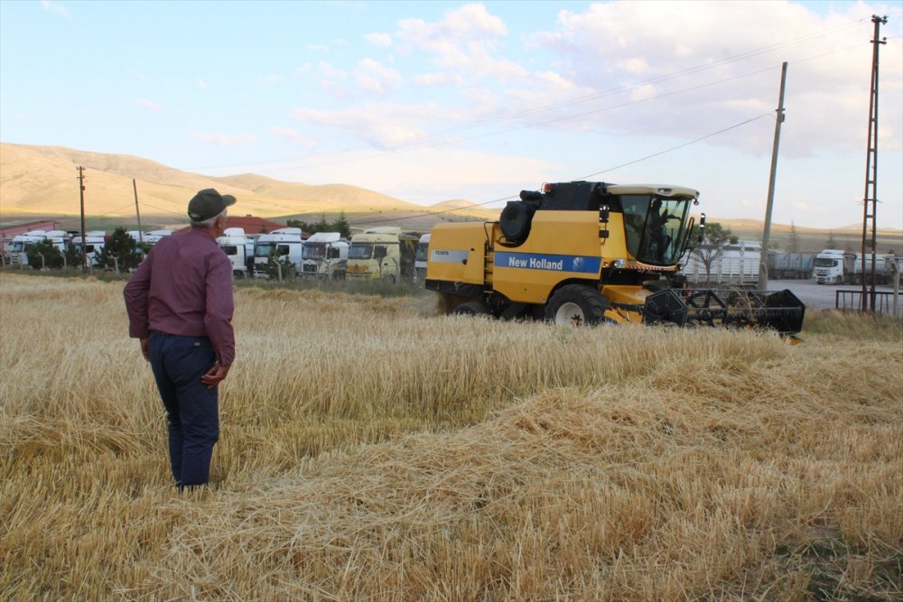 Yunak'ta Sezonun İlk Arpa Hasadı Yapıldı