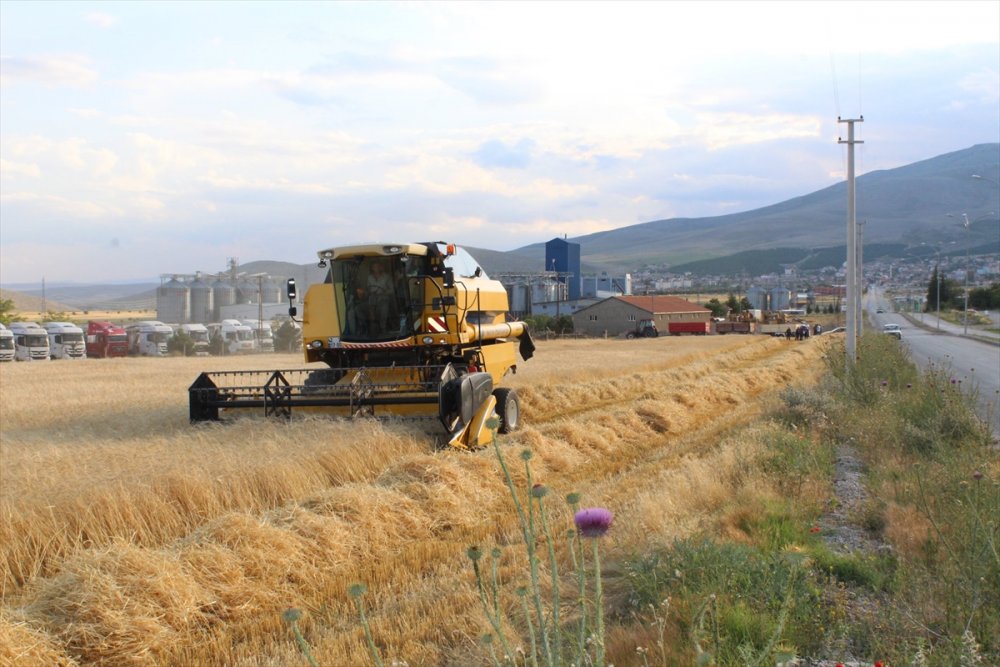 Yunak'ta Sezonun İlk Arpa Hasadı Yapıldı
