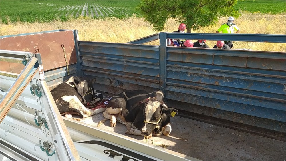 Konya Aksaray Yolundaki Feci Kazada Karı Koca Hayatını Kaybetti