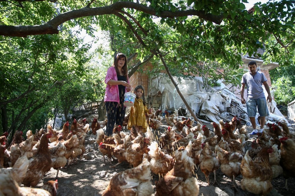 Kızlarının Mutluluğu İçin İstanbul'dan Kaçıp Çiftçi Oldular