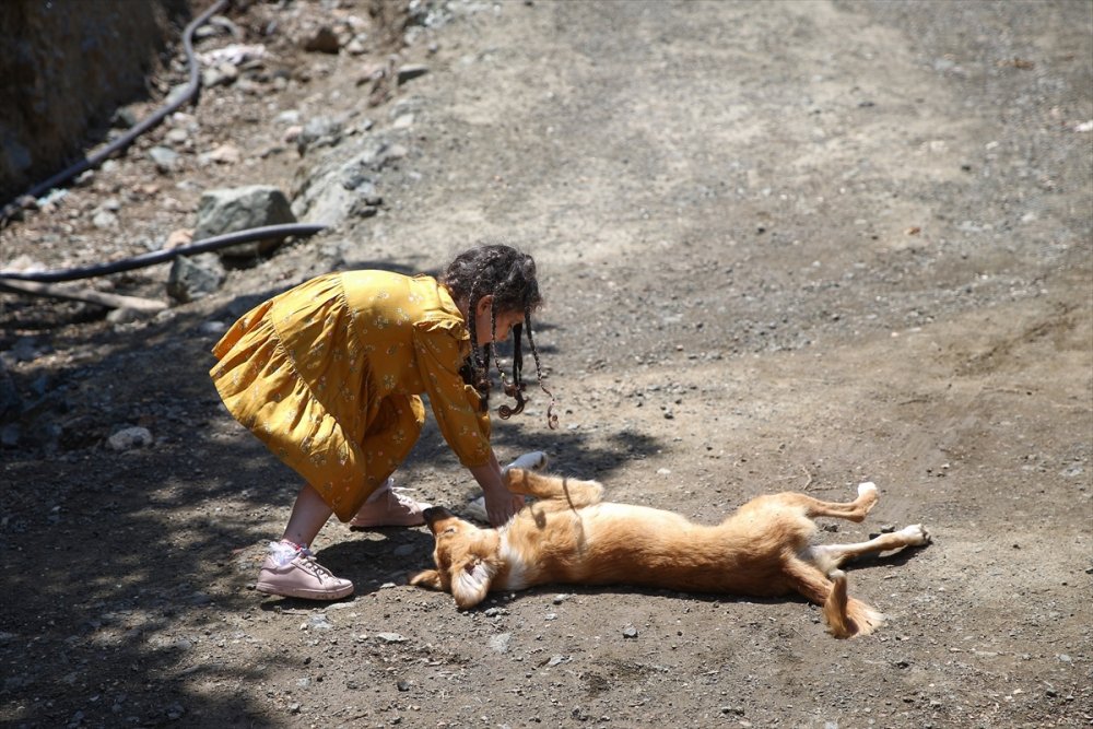 Kızlarının Mutluluğu İçin İstanbul'dan Kaçıp Çiftçi Oldular