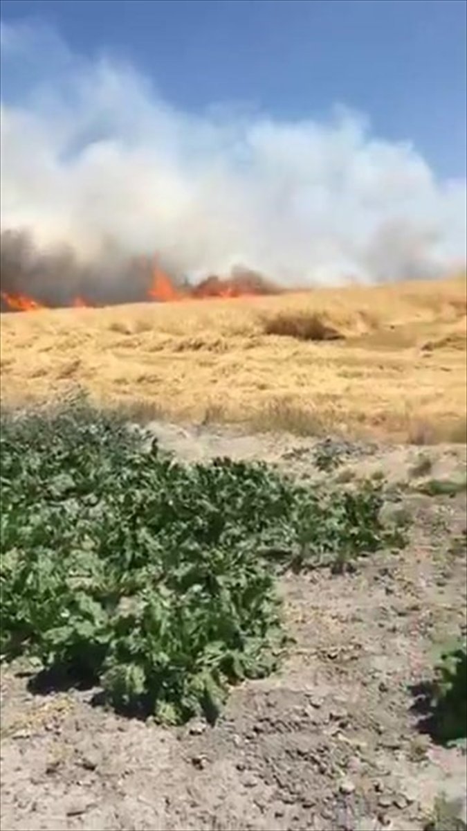 Karapınar'da Tarım Arazisinde Yangın