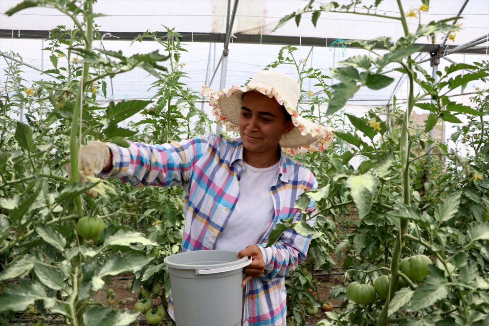 İş Bulamayan Genç Kadın İşinin Patronu Oldu