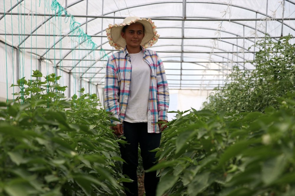 İş Bulamayan Genç Kadın İşinin Patronu Oldu