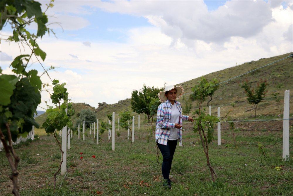 İş Bulamayan Genç Kadın İşinin Patronu Oldu