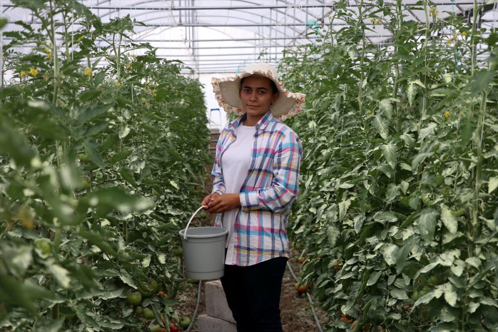 İş Bulamayan Genç Kadın İşinin Patronu Oldu