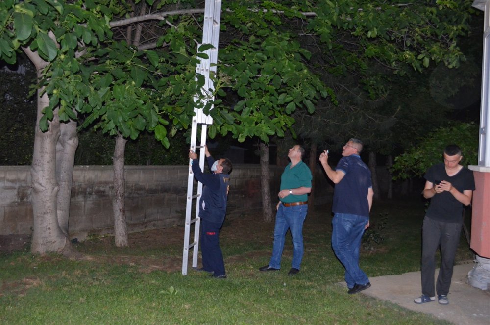 Ağaçta asılı kalan yavru kargayı itfaiye kurtardı