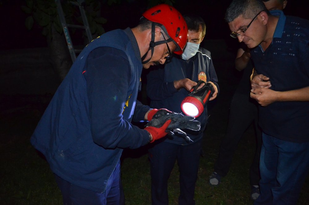 Ağaçta asılı kalan yavru kargayı itfaiye kurtardı