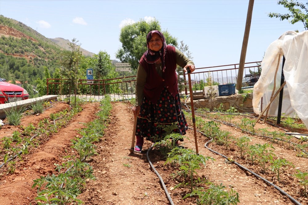 İsmihan Teyzenin "Evlatlarını Okutma Azmi"