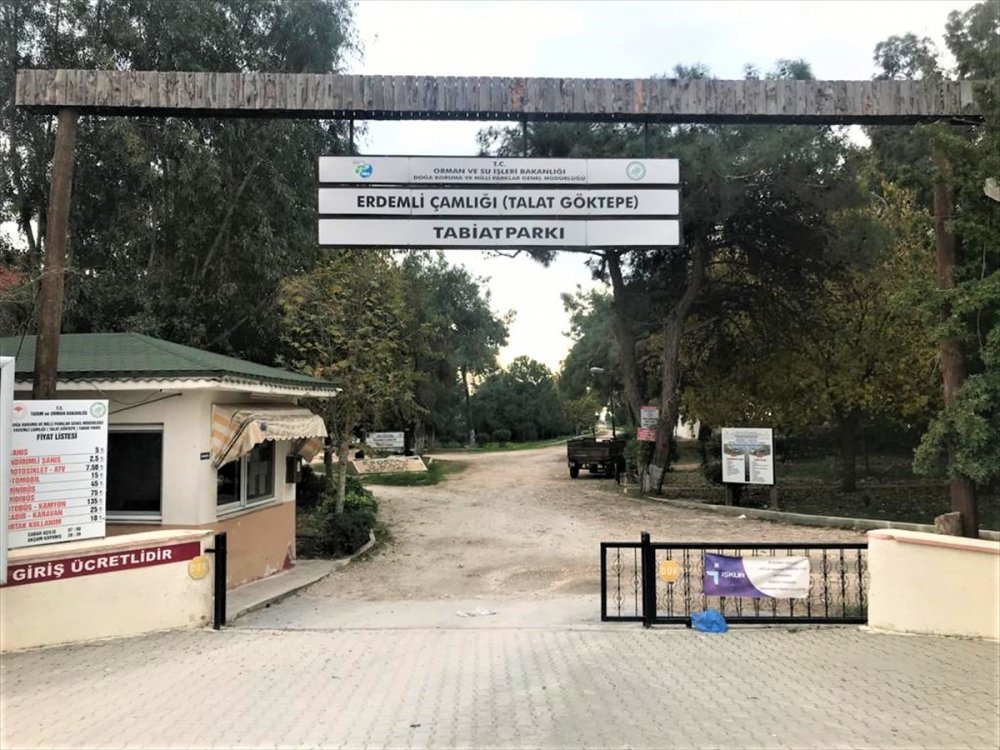 Talat Göktepe Tabiat Parkı Çamlığı'nın İşletmesi İçin Yeni Protokol